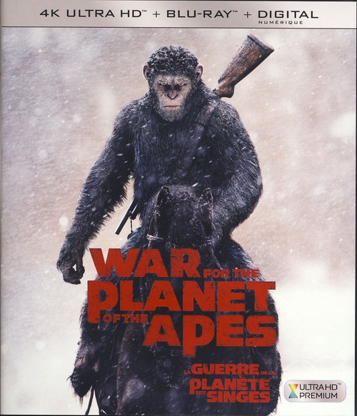 Cover Thumbnail