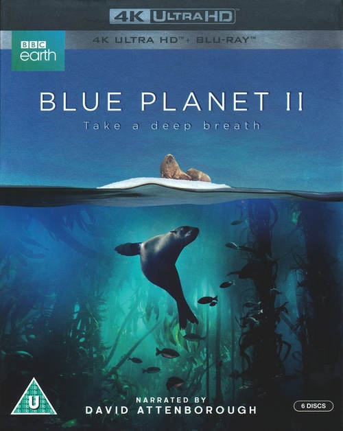Cover Thumbnail